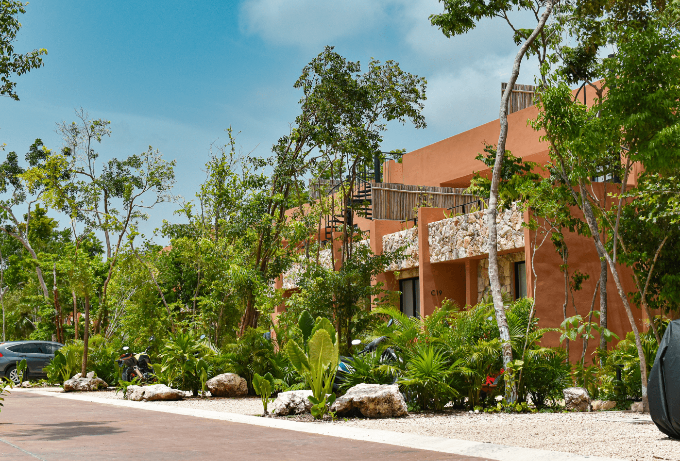 aldea savia nueva portada