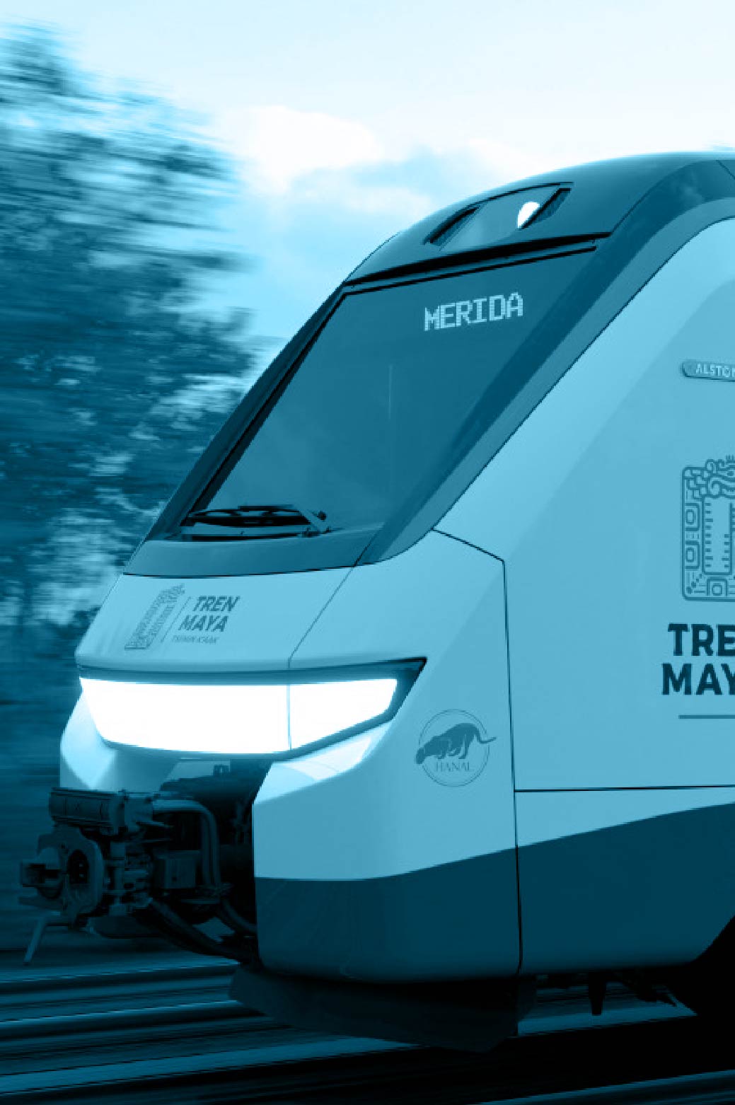 turismo en crecimiento