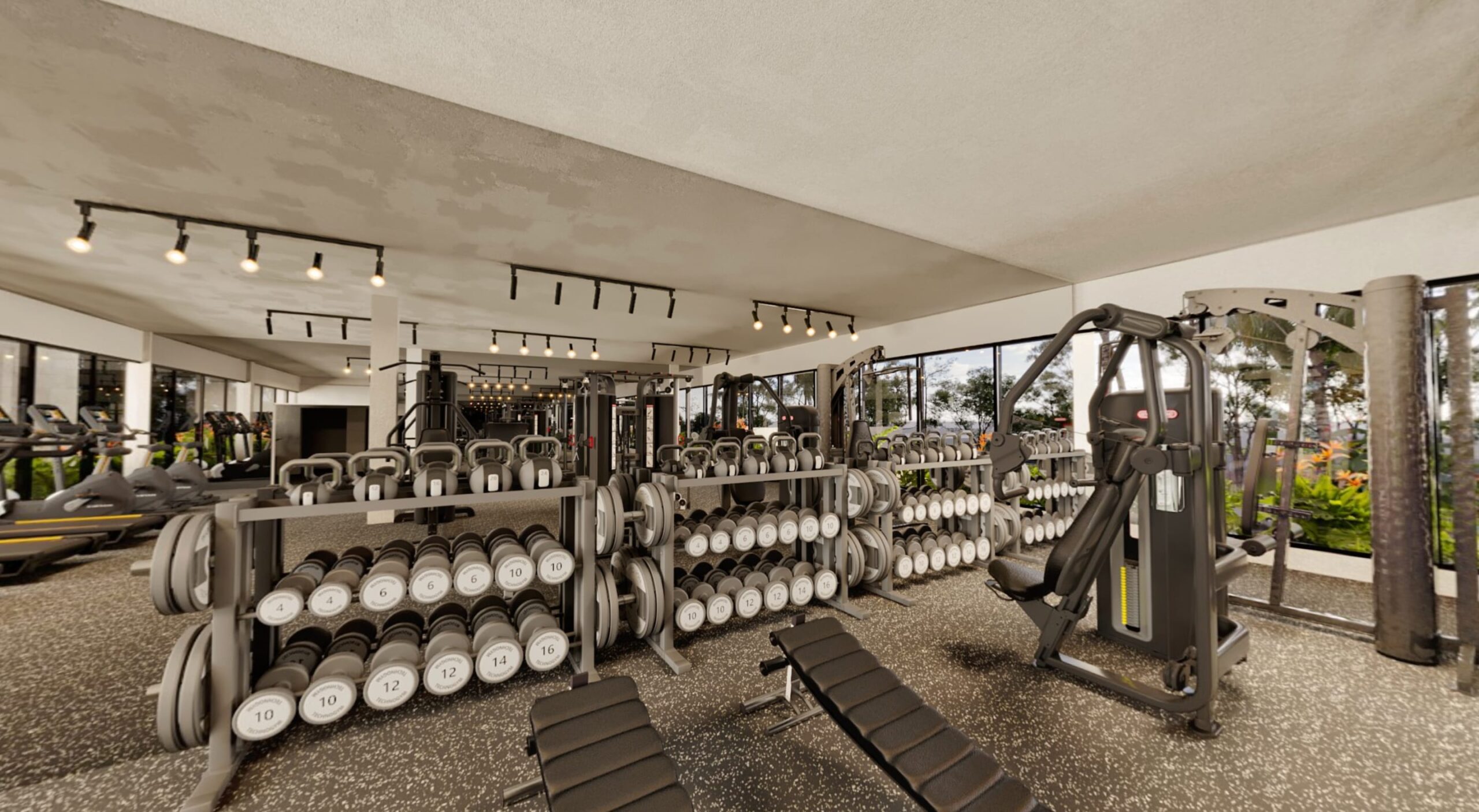 Gym