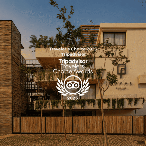 tripadvisor premio